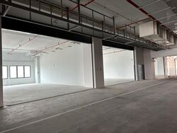 ASIA MOTOR (D13), Factory #471576841